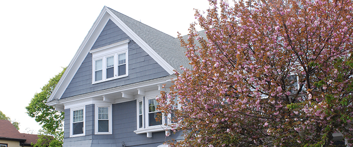 Property Tax Revenue